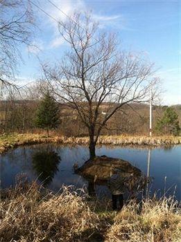 The Willow Tree Inn B&B Cooperstown Buitenkant foto